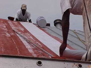 Over roofing tin mesh is placed over wet coating