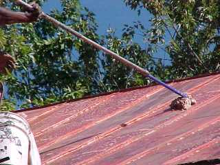 In this case cleanser is used by Roof Menders, Inc